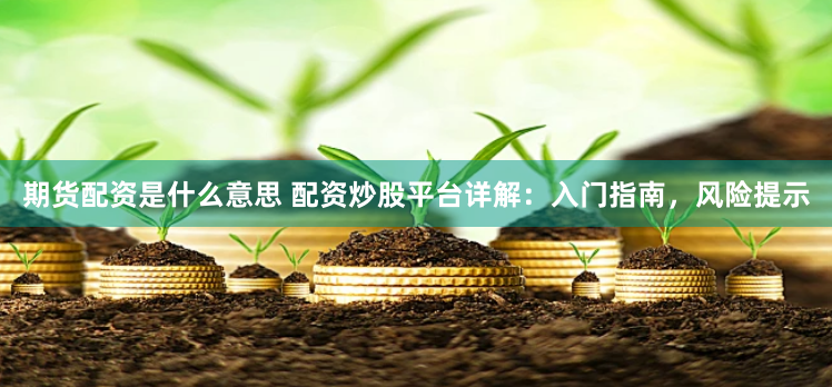 期货配资是什么意思 配资炒股平台详解：入门指南，风险提示