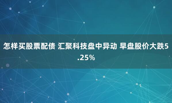 怎样买股票配债 汇聚科技盘中异动 早盘股价大跌5.25%