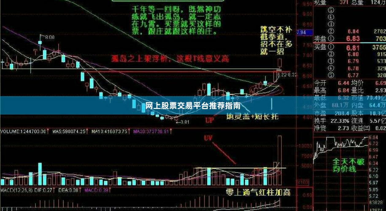 网上股票交易平台推荐指南